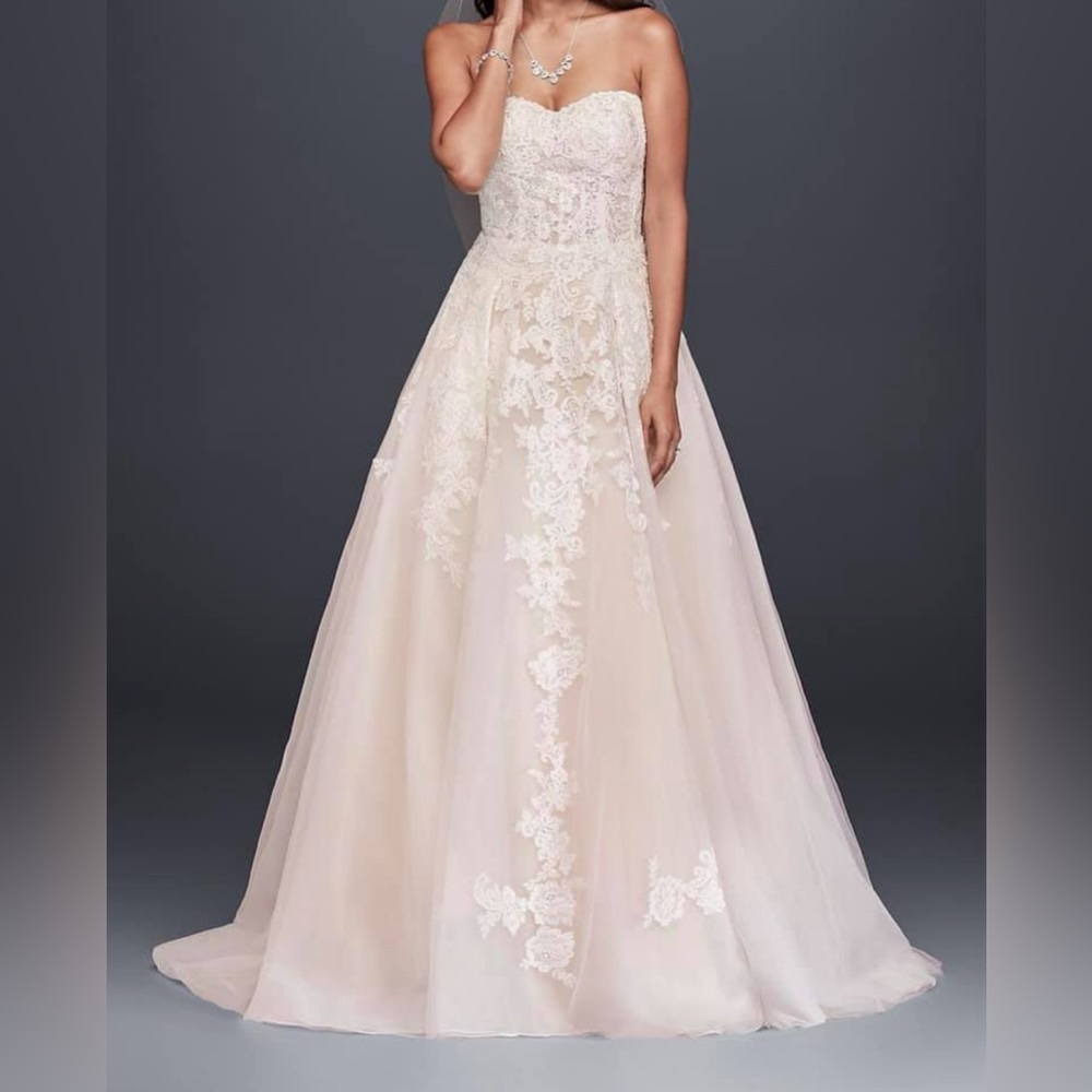 David’s bridal dress with veil
